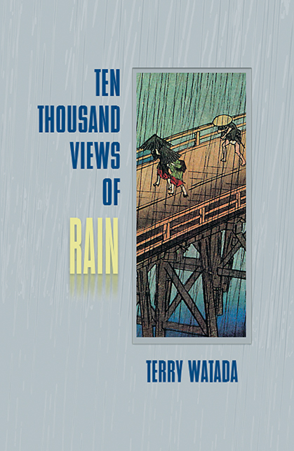 Ten Thousand Views of Rain