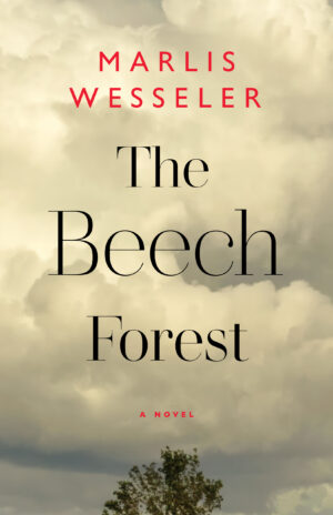 The Beech Forest