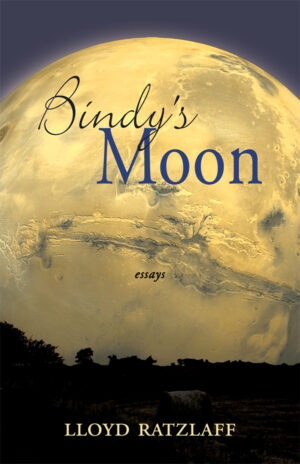 Bindy's Moon